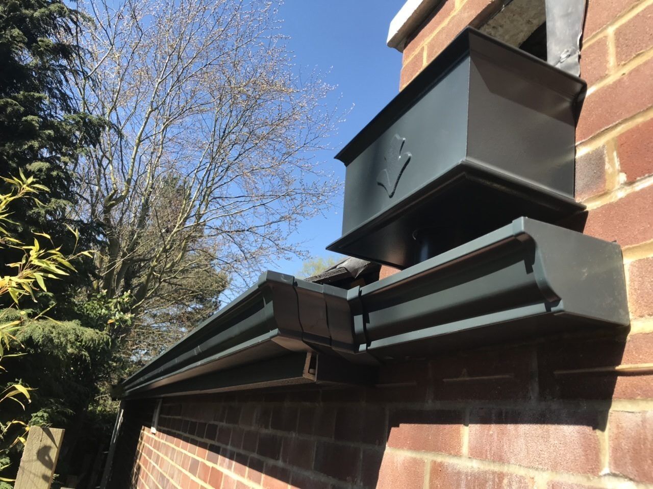 6BBE8D3B-EA65-4BD2-8EE6-A97695B81C62